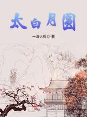 太白是月亮的雅号吗
