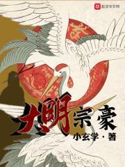 大明高宗