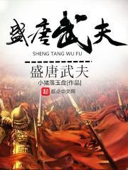 盛唐风流武状元全文阅读