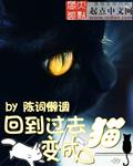 回到过去变成猫后续传