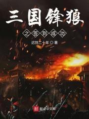 三国兵锋txt
