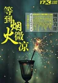 明月夜微凉 烟火