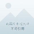 网游之重临巅峰女主