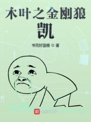 木叶之凯多