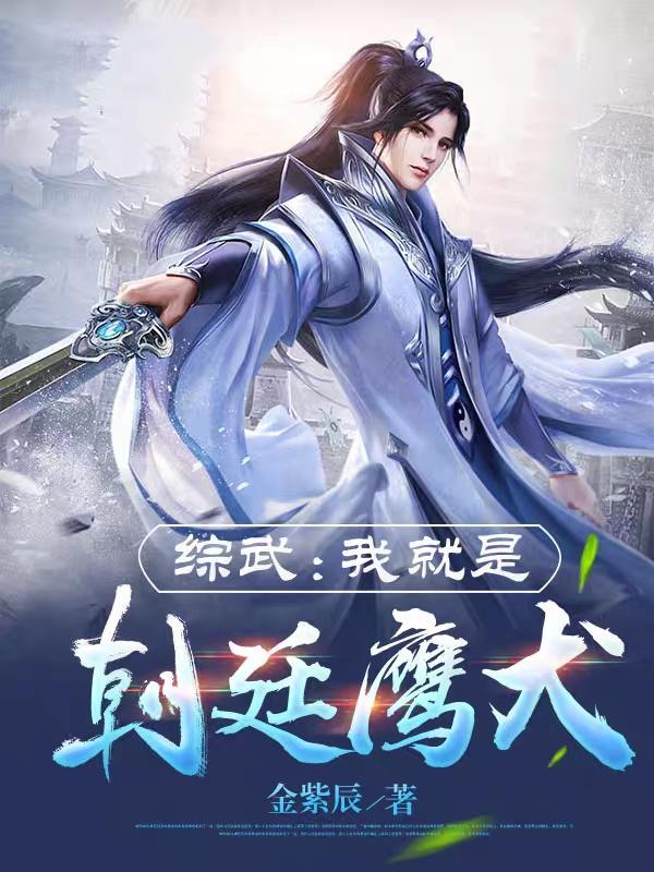 综武我就是朝廷鹰犬