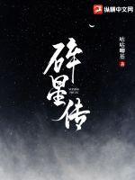 碎星传承
