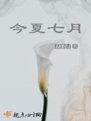 今夏是谁唱的