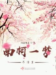 南柯一梦意思