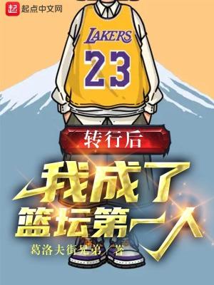 我成了篮坛第一人有声