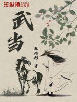武当道医