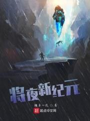 将夜后记