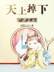 天上掉下个林妹妹儿歌
