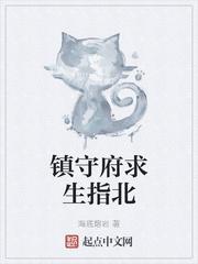 镇守府的求生指北