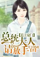 惹上总统大人凌微笑身份