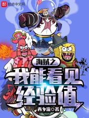 海贼之我能无限抽奖