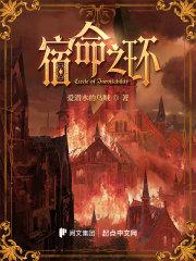 宿命之环讲了什么