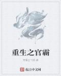 重生之官场官道