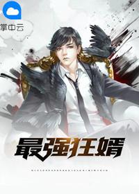 最强狂婿都市