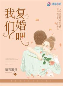 我们复婚好不好txt