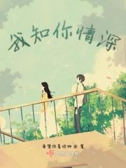 你知我情深正版