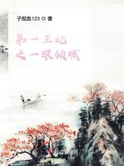 倾城第一妃txt