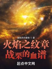 火焰之纹章 攻略