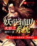穿越火影之妖孽少女2
