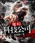 黑芝麻智能科技公司