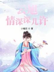情深几许歌曲视频