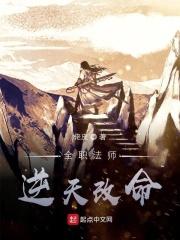 全职法师之改变未来