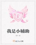 小辅助装图片