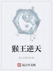 猴王是哪部番