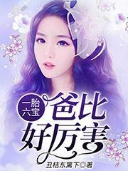 陶宝司冥寒最新章节免费阅读