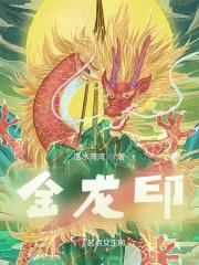 金龙印象