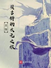 龙珠贝吉特