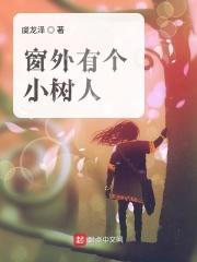 窗外的树