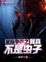 星际争霸之ued