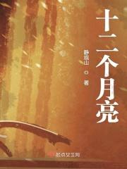 阿雀的十二个月亮