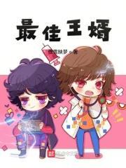 免费阅读最佳赘婿全集