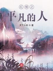 红楼之平凡的人 天下大叔
