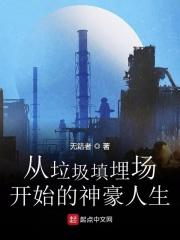 主角从垃圾场崛起