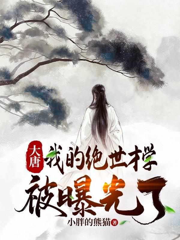 张诺穿越到唐朝的叫什么