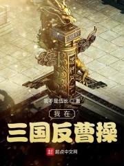 我在三国当逆贼笔趣阁