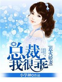 总裁我会乖年初