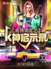赛博朋克2080