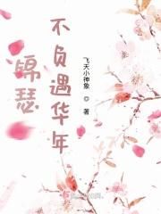 锦瑟不负遇华年 飞天小神象