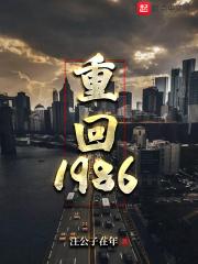 重回1986罗小三后续动画