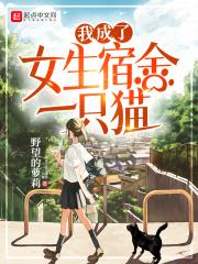 我成了女生宿舍里一只猫