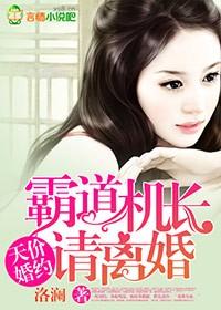 天价婚约霸道机长请离婚