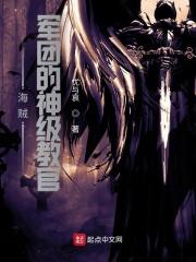海贼之最强军团系统